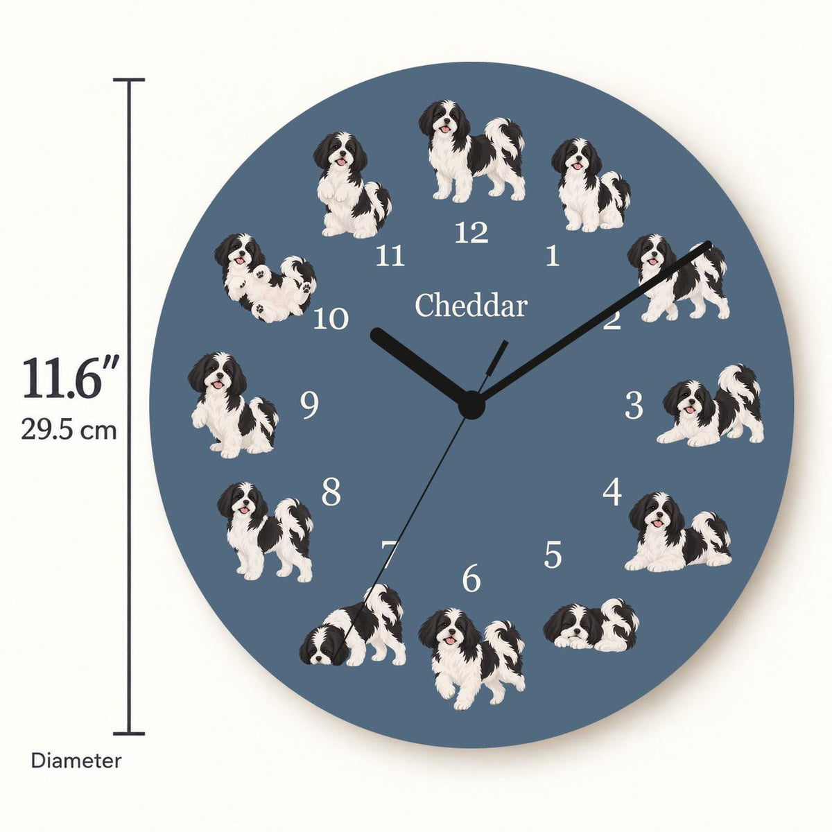 Personalized Shih Tzu Black and White wooden wall clock with example name Cheddar; size