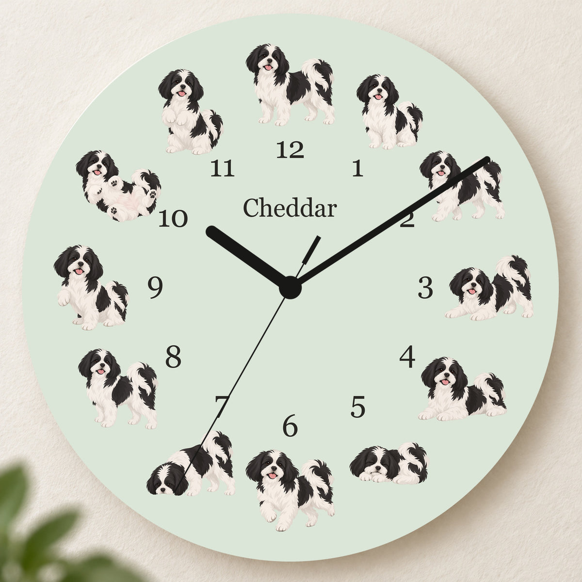 Personalized Shih Tzu Black and White Wall Clock, Custom Pet Name, 11.6 Inch Wooden Clock — Pale Sage background