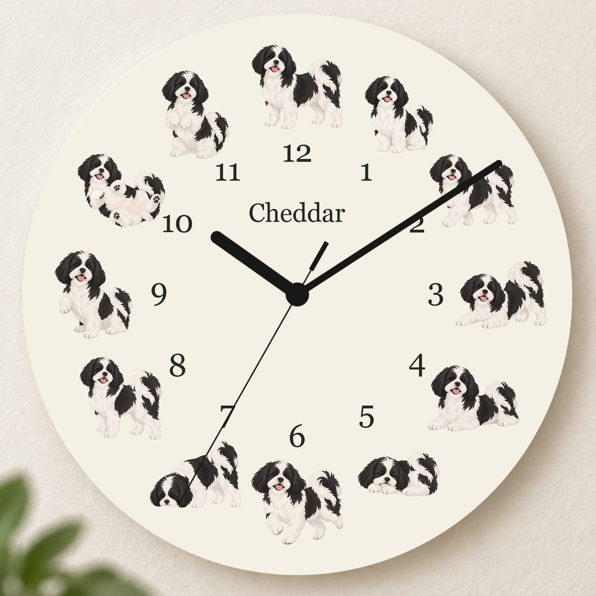 Personalized Shih Tzu Black and White Wall Clock, Custom Pet Name, 11.6 Inch Wooden Clock — Warm Ivory background