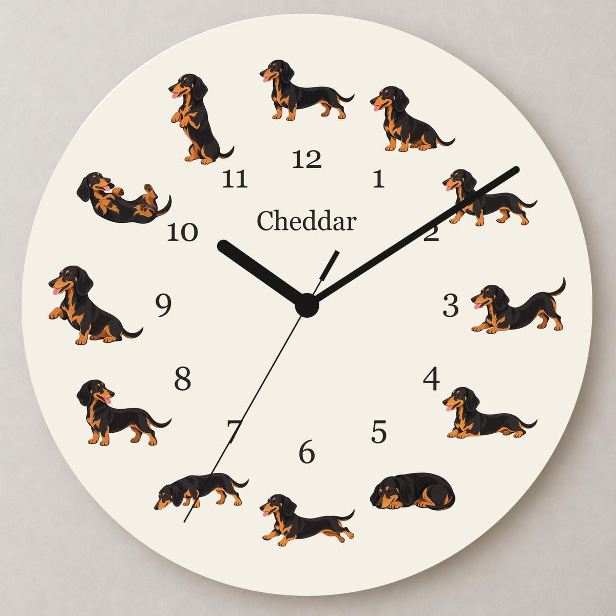 Personalized Dachshund Black and Tan wooden wall clock with example name Cheddar; close up