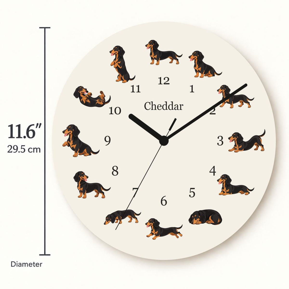Personalized Dachshund Black and Tan wooden wall clock with example name Cheddar; size